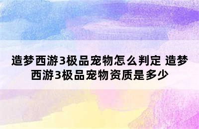 造梦西游3极品宠物怎么判定 造梦西游3极品宠物资质是多少